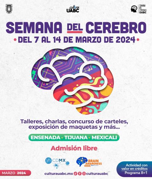 Facultades de la UABC invitan a celebrar la Semana del Cerebro